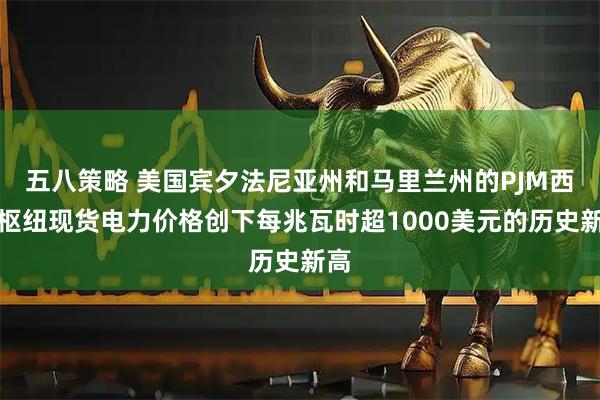 五八策略 美国宾夕法尼亚州和马里兰州的PJM西部枢纽现货电力价格创下每兆瓦时超1000美元的历史新高