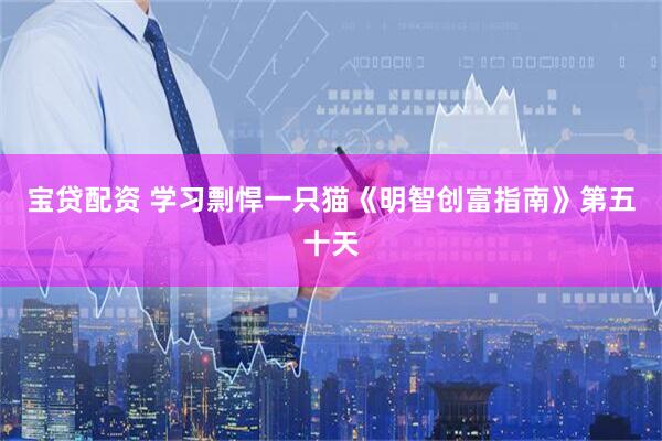 宝贷配资 学习剽悍一只猫《明智创富指南》第五十天